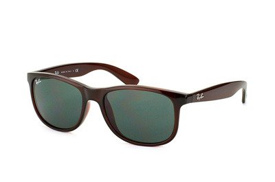 Ray-Ban Sunglasses ANDY RB4202 - 714/71