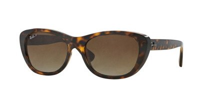 Ray-Ban Sunglasses  RB4227-710/T5