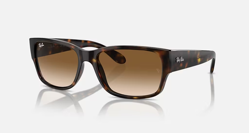 Ray-Ban Sunglasses RB4388-710/51
