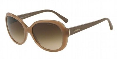 Giorgio Armani Sunglasses AR8047-502613