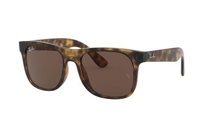Ray-Ban Sunglasses RB9069S-152/73