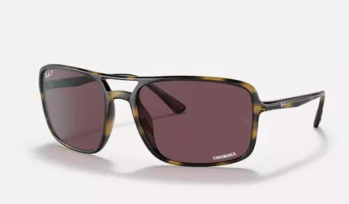 Ray-Ban Sunglasses RB4375-710/BC