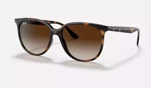 Ray-Ban Sunglasses RB4378-710/13
